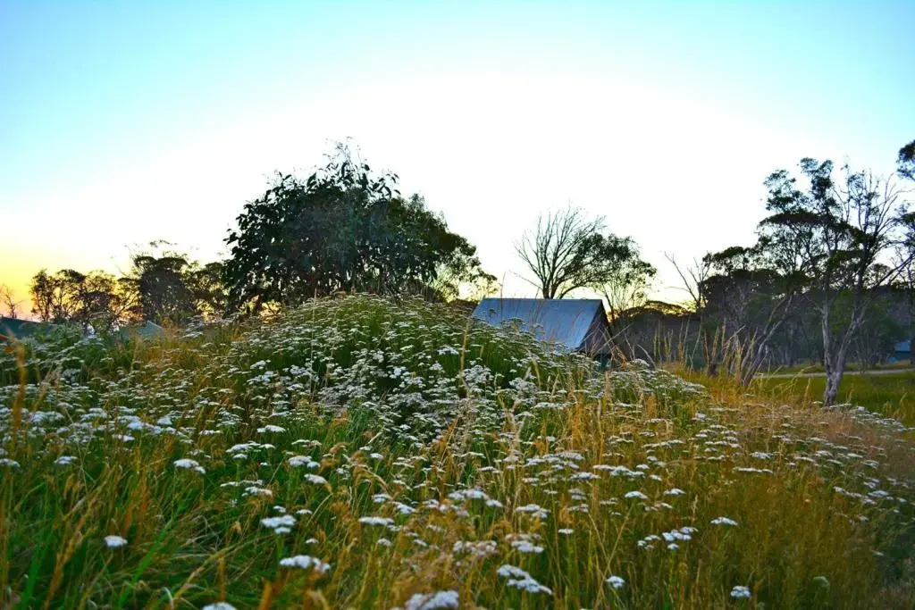 Snowdrop Lodge