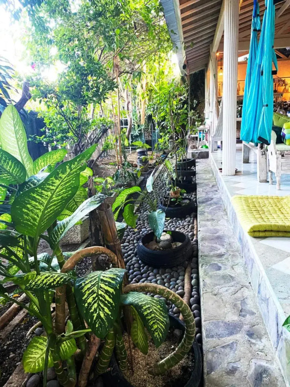 Shady Grove Healing Centre and Homestay