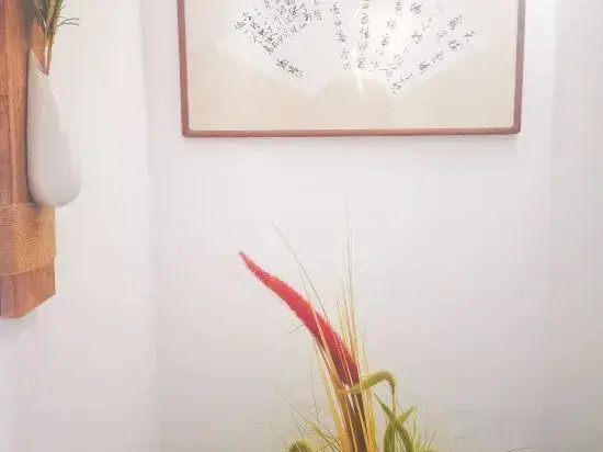Shanghai   Dawuli Cat Garden Hotel