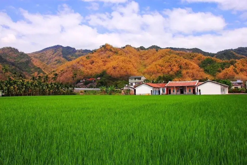 香蕉與黑膠 Yellow And Black Guest House