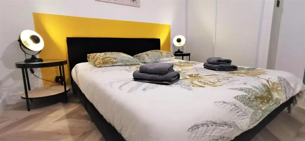 t2 COSY - COLOMIERS - RÉSIDENCE SECURISÉE - AIRBUS - PISCINE