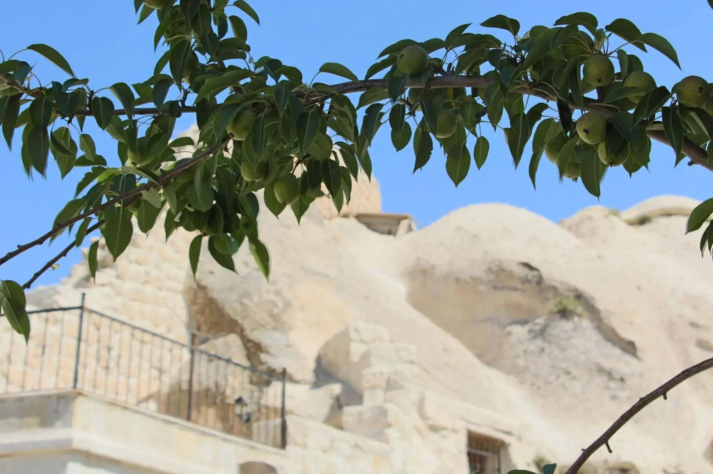 Anatolian Houses Cave Hotel & SPA