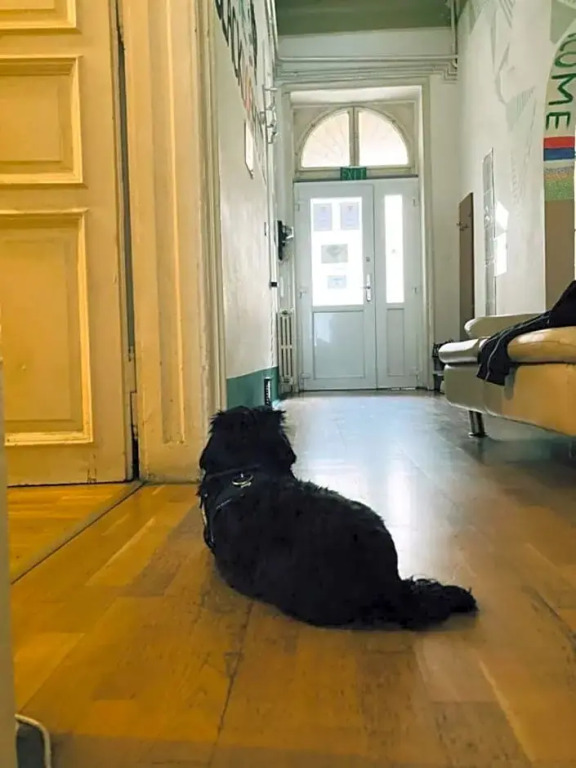 Black Dog Hostel