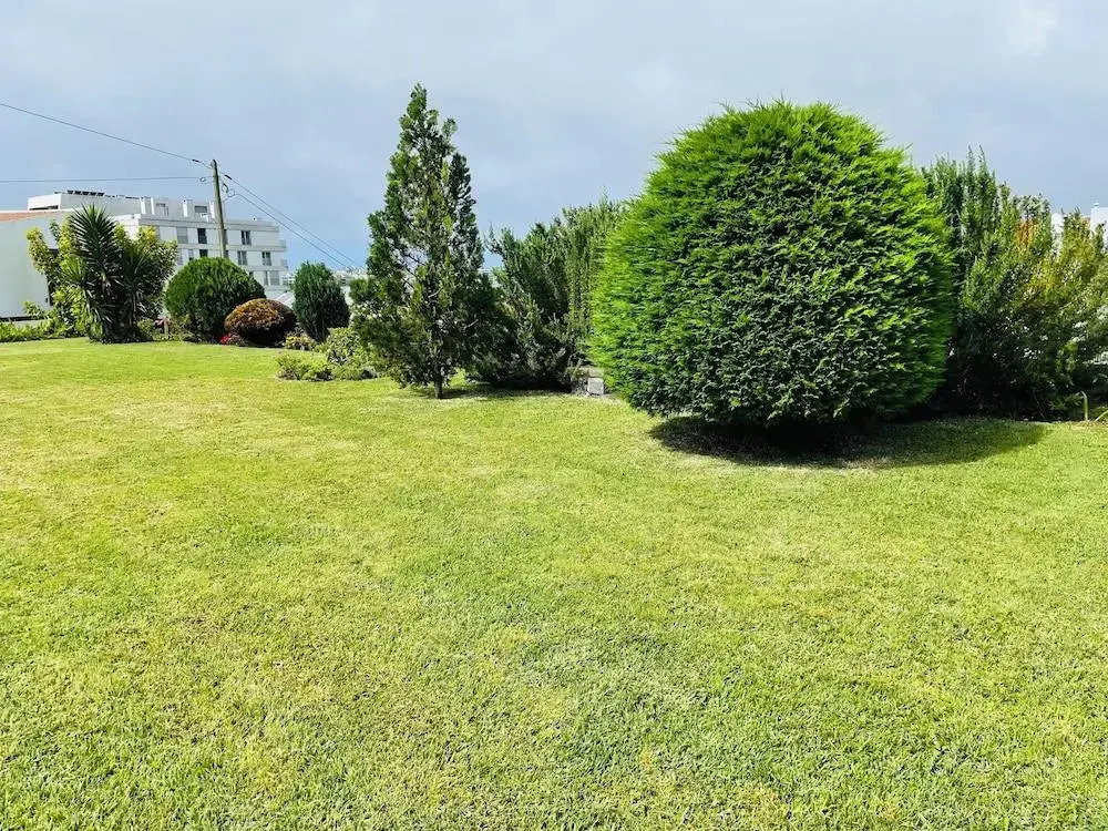 Spacious, Garden, and Private Parking
