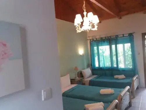 Chorto Garden Home