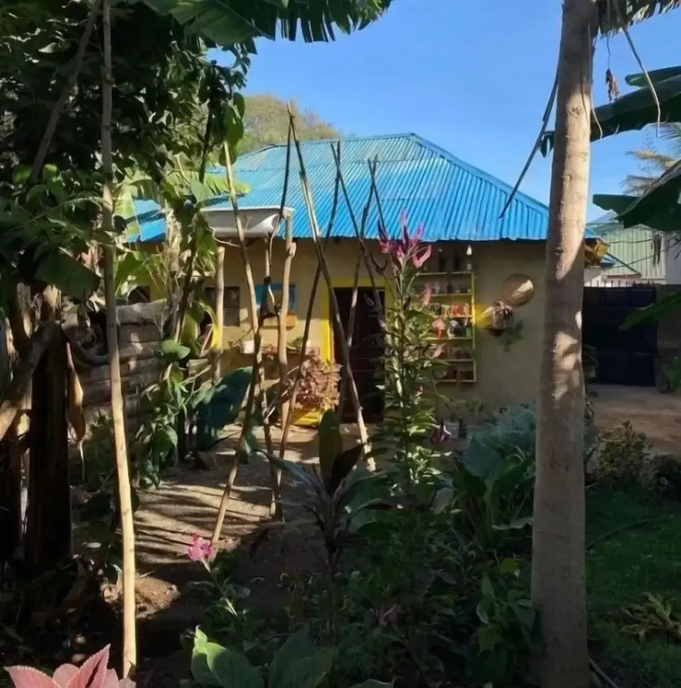 Banana shade hostel