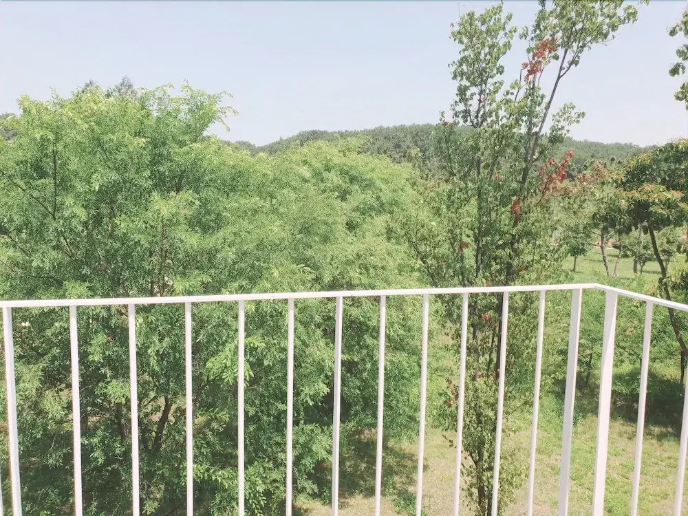 La Maison Verte (ramejong hauseu)