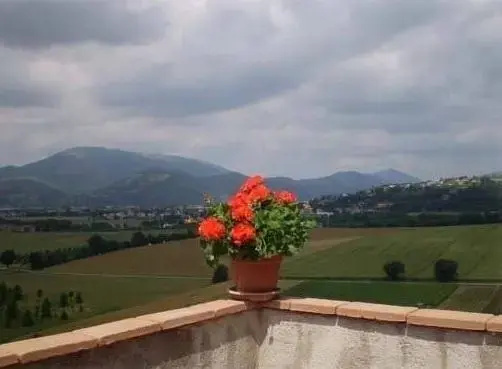 Agriturismo Coppo