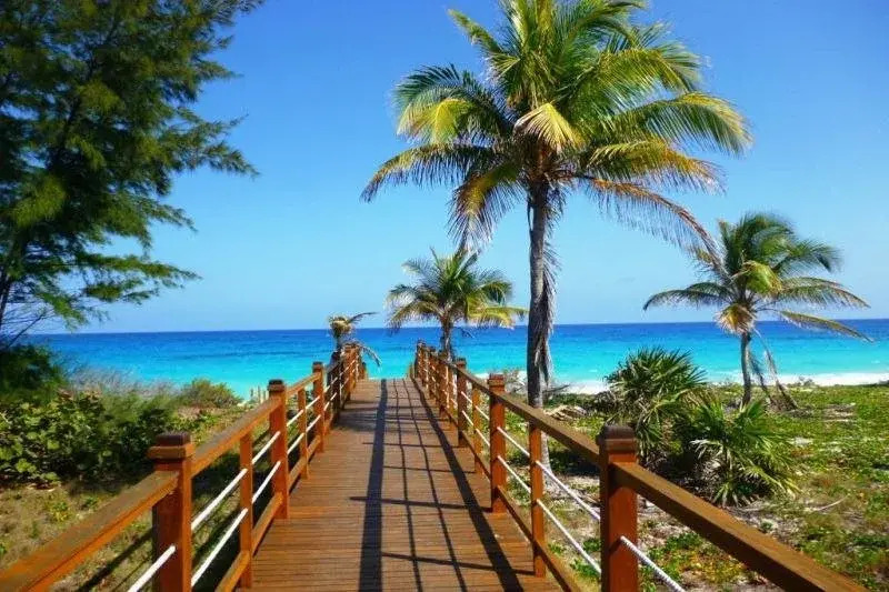 Villa Iguana