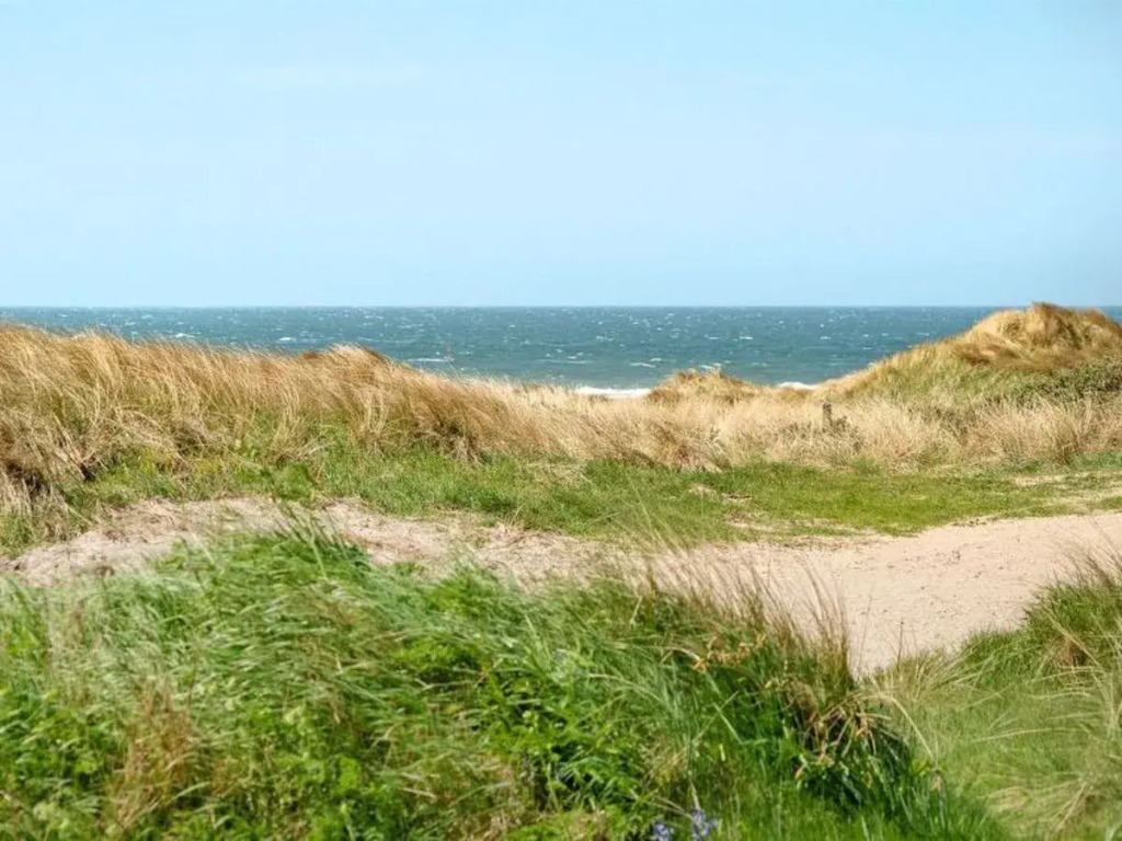 "Arien" - 150m from the sea in NW Jutland