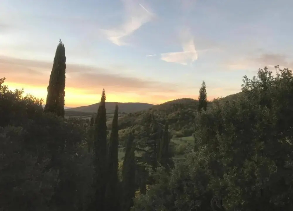 Ritzy Villa on a Wine Estate in Arezzo with Pool