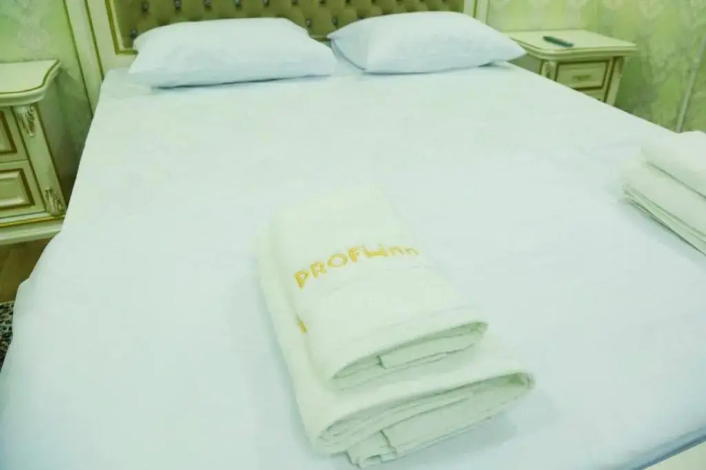 Profi Boutique hotel