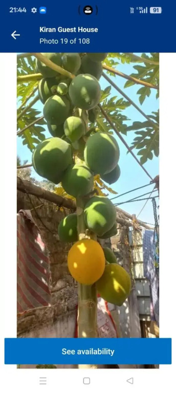 Kiran Guest House