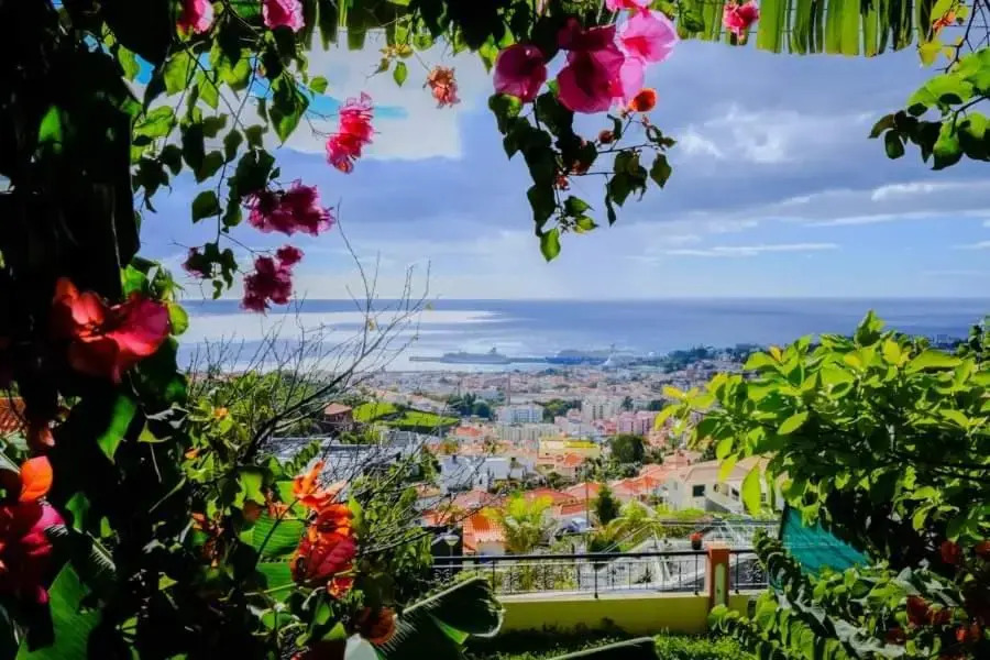 Grannys house view