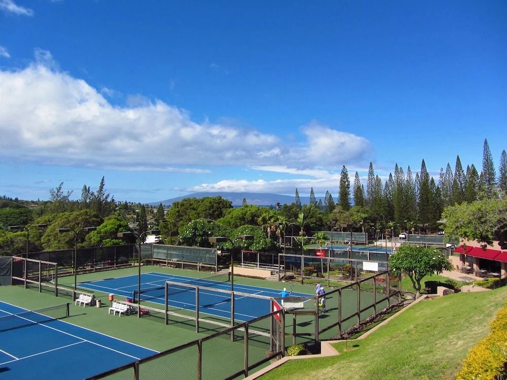 Kapalua Bay Villa 23B3