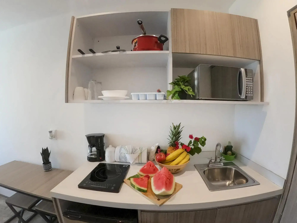 Queen Studio PDC Oasis Pool Rooftop Lounge Walk to 5 Avenida Best Playa Beaches
