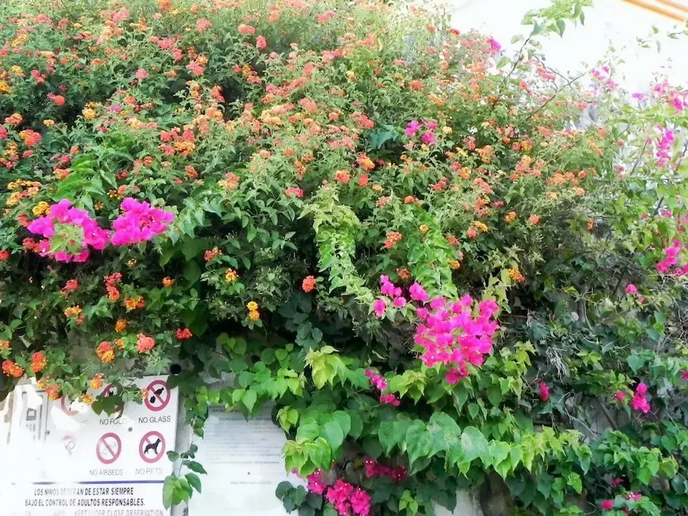 House With 4 Bedrooms in Mijas Costa, With Wonderful sea View, Pool Ac