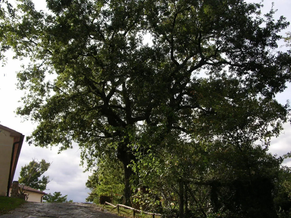 Agriturismo La Meria