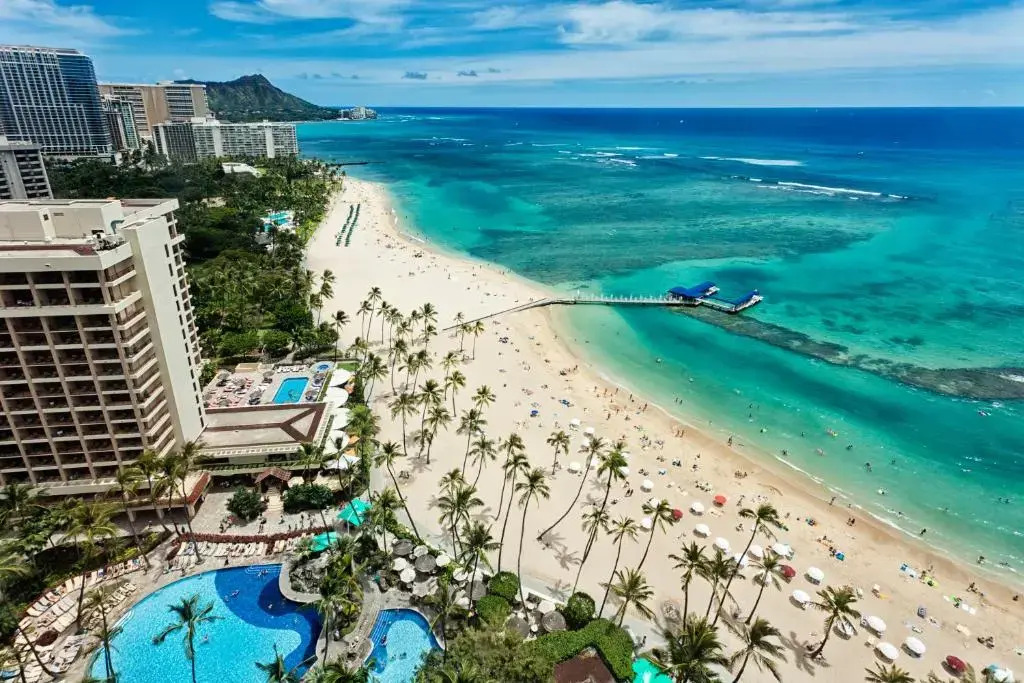 Beautiful 8th Floor 1 Bedroom Condo | 1 Block to Beach | Free Parking & WIFI