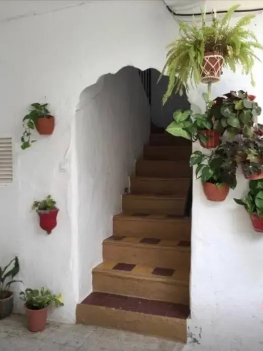 Beautiful studio in Vejer