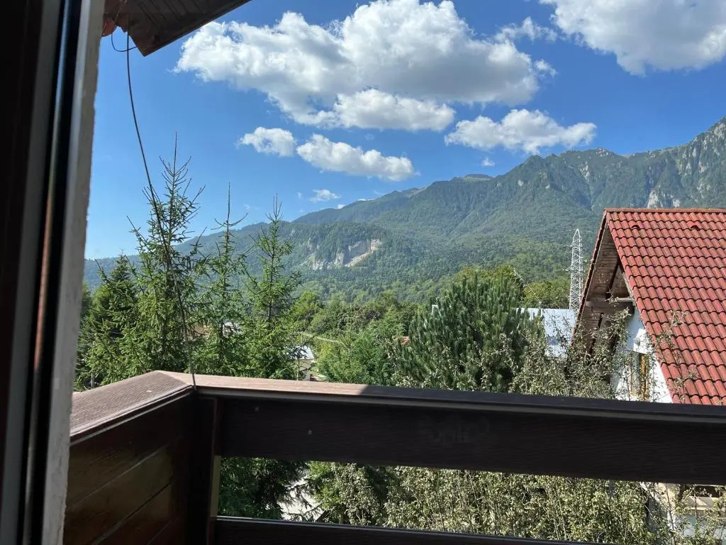 Rustic House Busteni