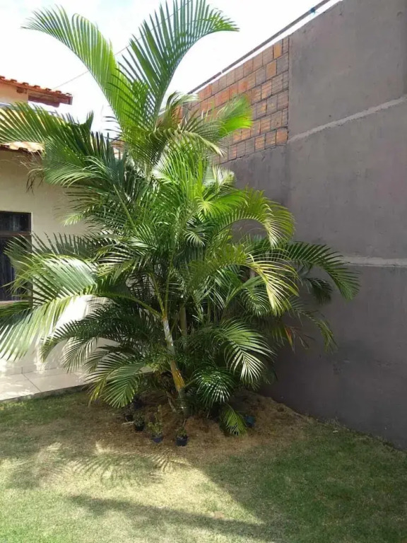 Casa Branca