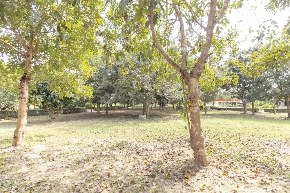 OYO 75359 Thaiburi Thara Resort