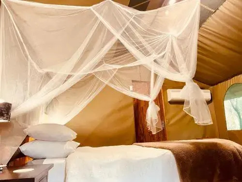 Nyala Luxury Safari Tents