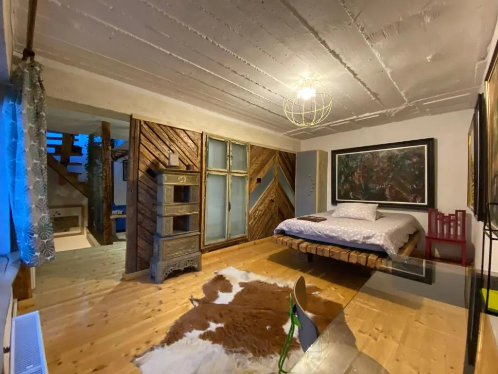 Apartament Art Cluj