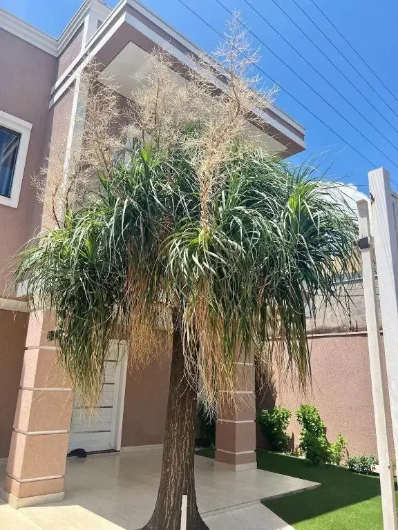Casa Luxo com Piscina de Borda Infinita