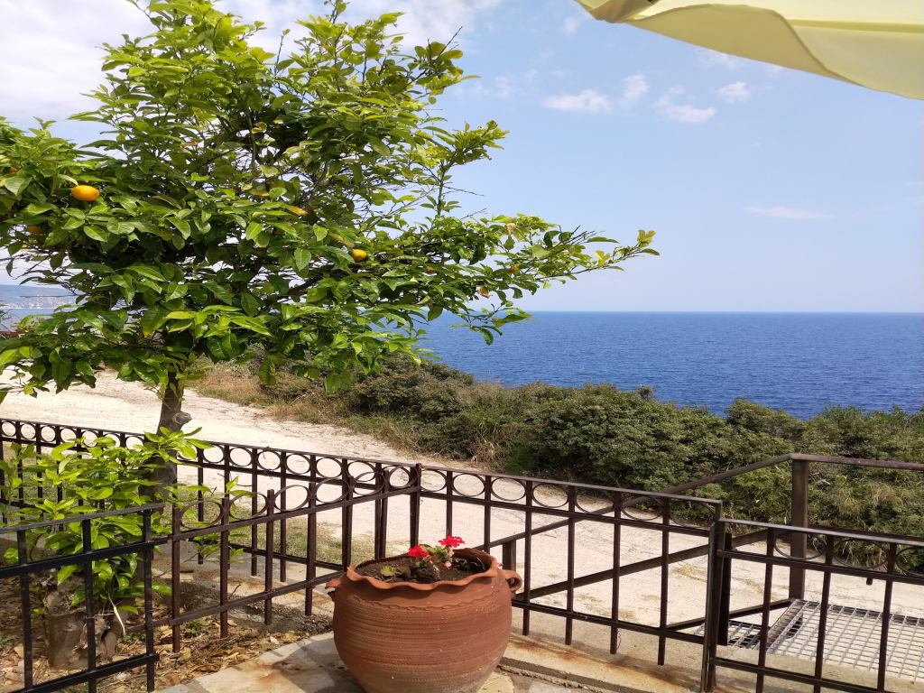 Zennova #3 Mount Athos & Sea View
