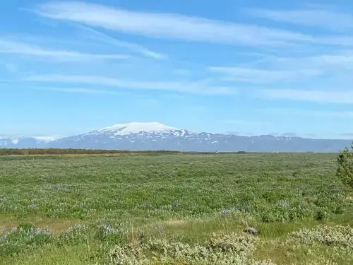 Uxahryggur
