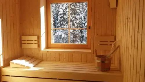 Appart Bergleben-Deluxe ****