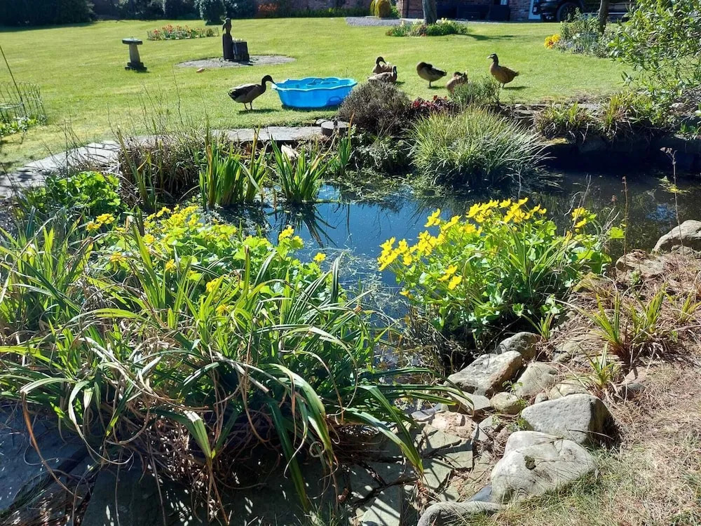 A Serene and Tranquil Escape for two