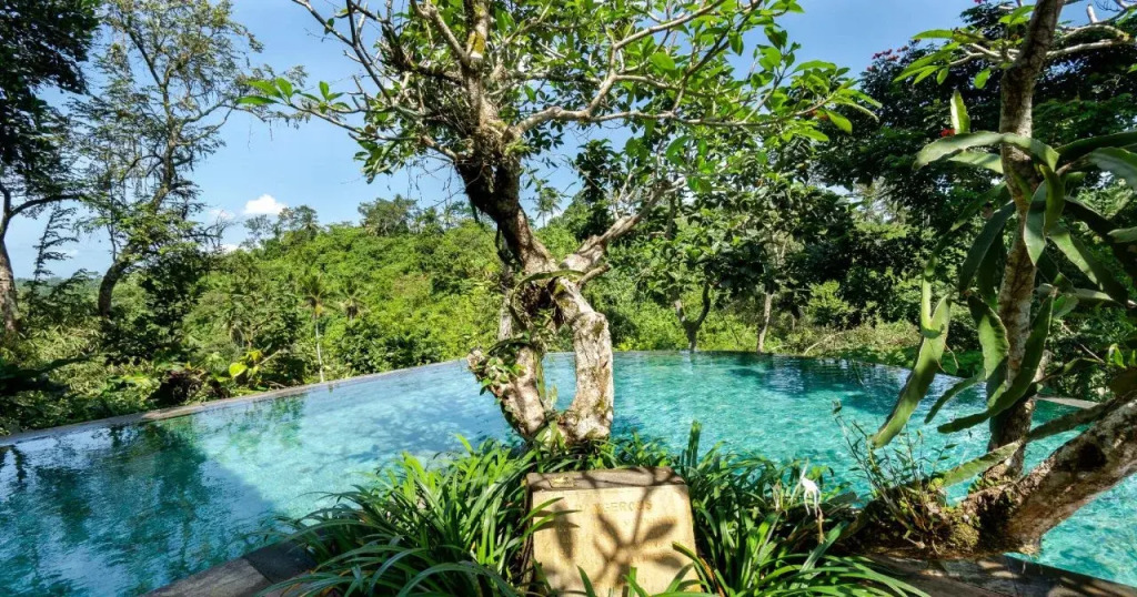 Natura Resort and Spa