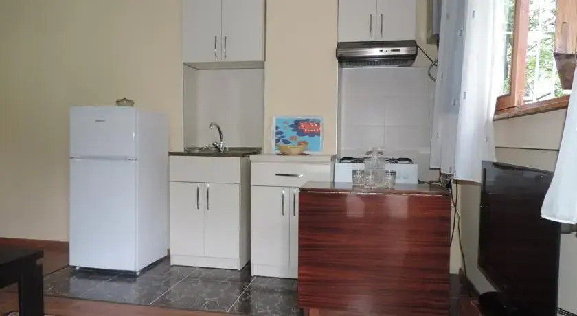 Guest House Dolidze