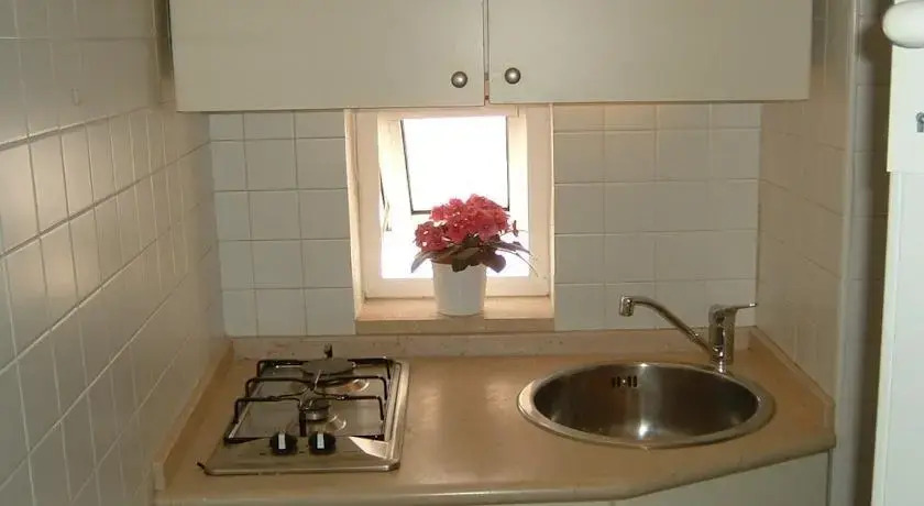 Red Flowers House