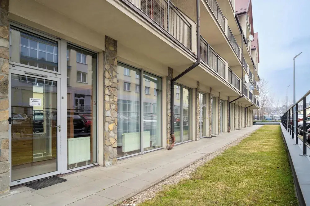 Brzoza w centrum Zakopanego