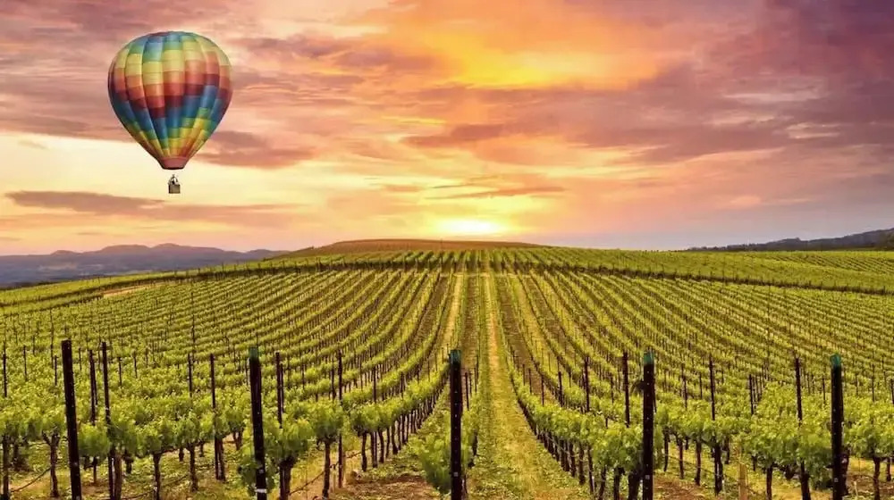 Luxury Napa Getaway Golf Views King Bed