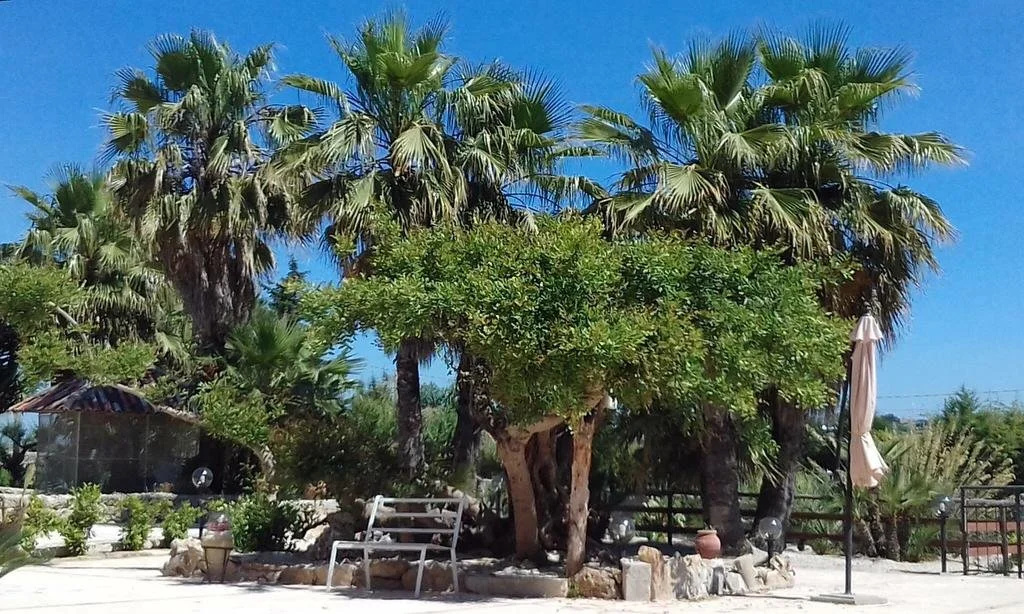 Tenuta Roveto