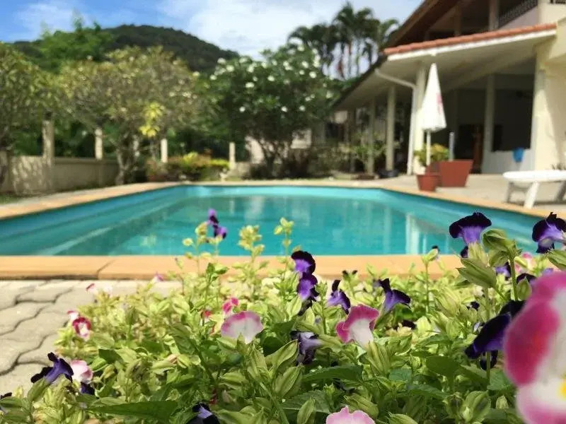 Elephant Guesthouse Phuket