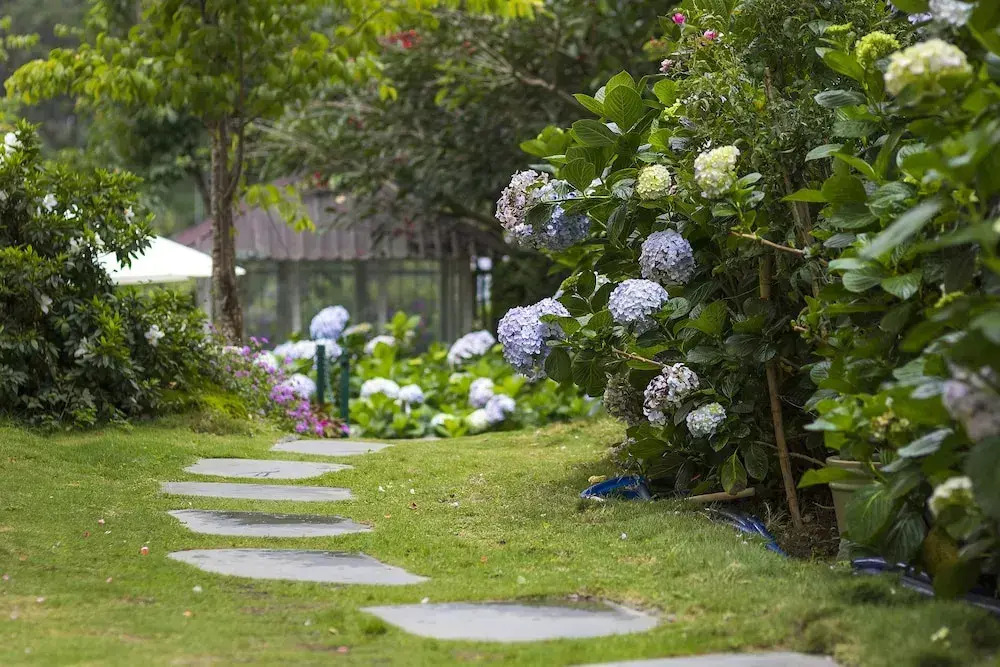 Christina's Da Lat - Bich Dao Villas