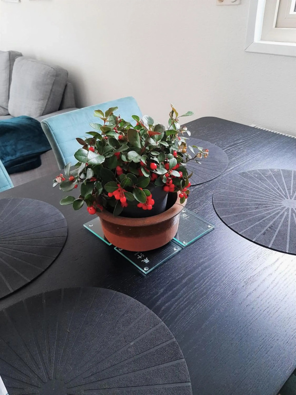 Chalet Esdoorn in Putten, Gezellig en Luxe gerenoveerd
