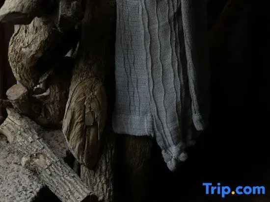 Shangcaoju · Traditional Chinese Medicine Aesthetic Space Homestay