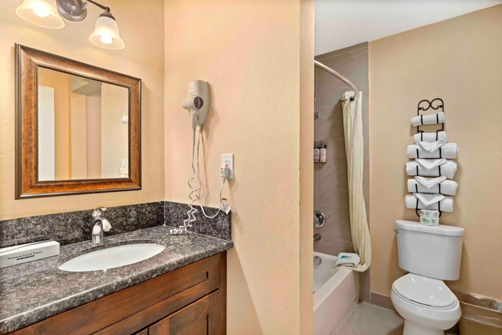 Lemon Tree Hotel and Suites