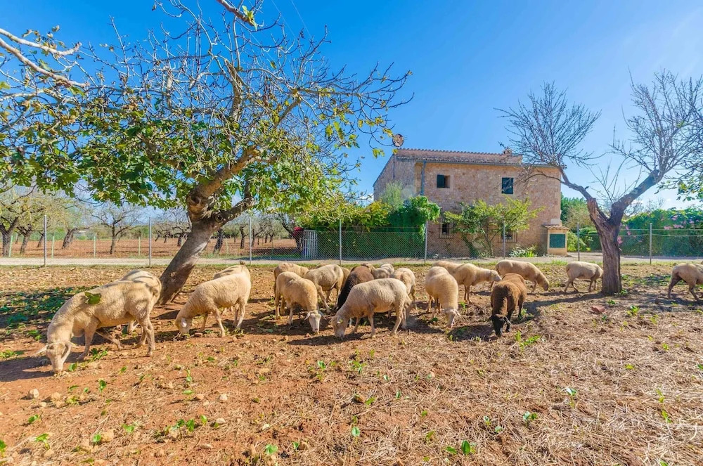 Sa Mata - Villa With Private Pool In Campanet