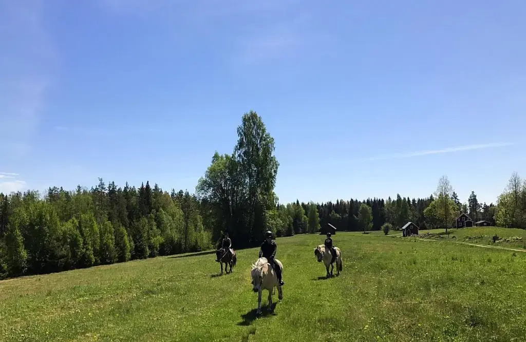 Grönelid Gård