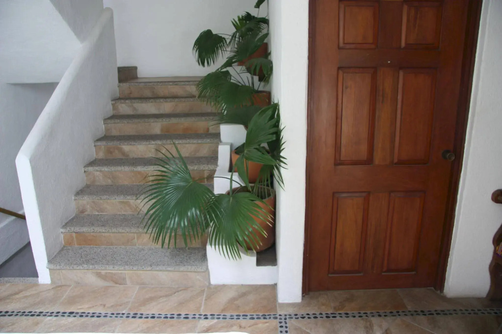 Amapas Apartments Puerto Vallarta
