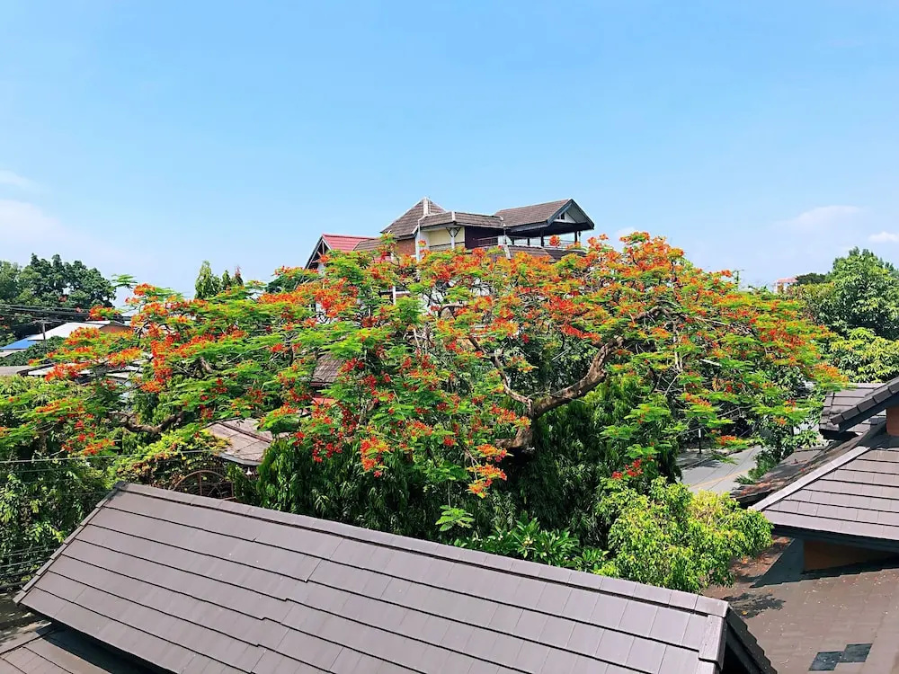 1314a Homesat Night Market Near Airport Old City Free Pick up for 3 Days