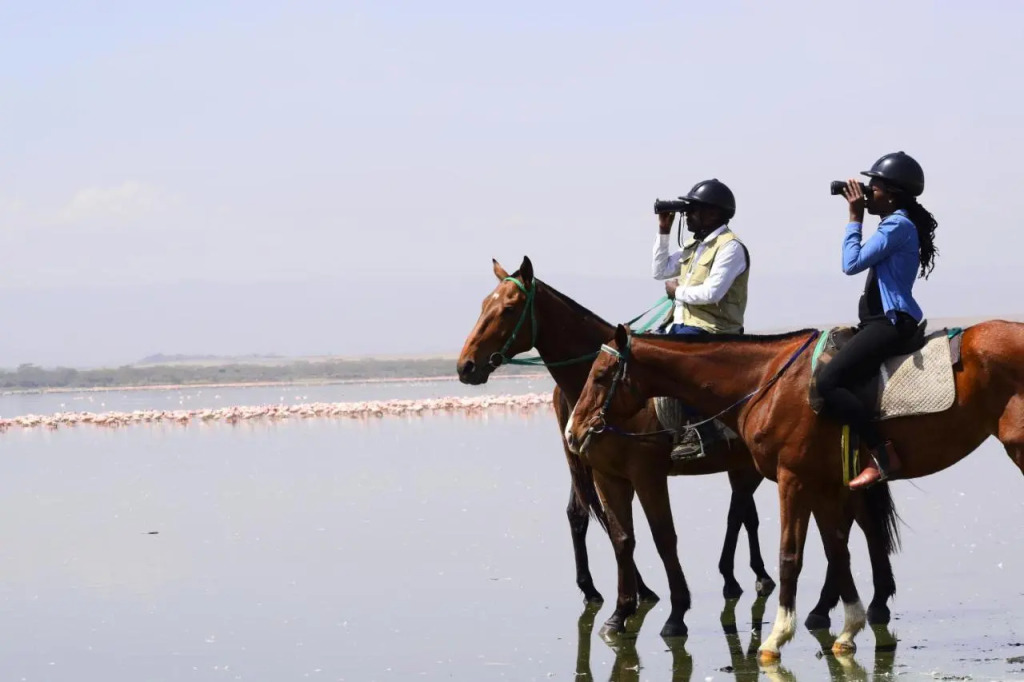 Lake Elmenteita Serena Camp